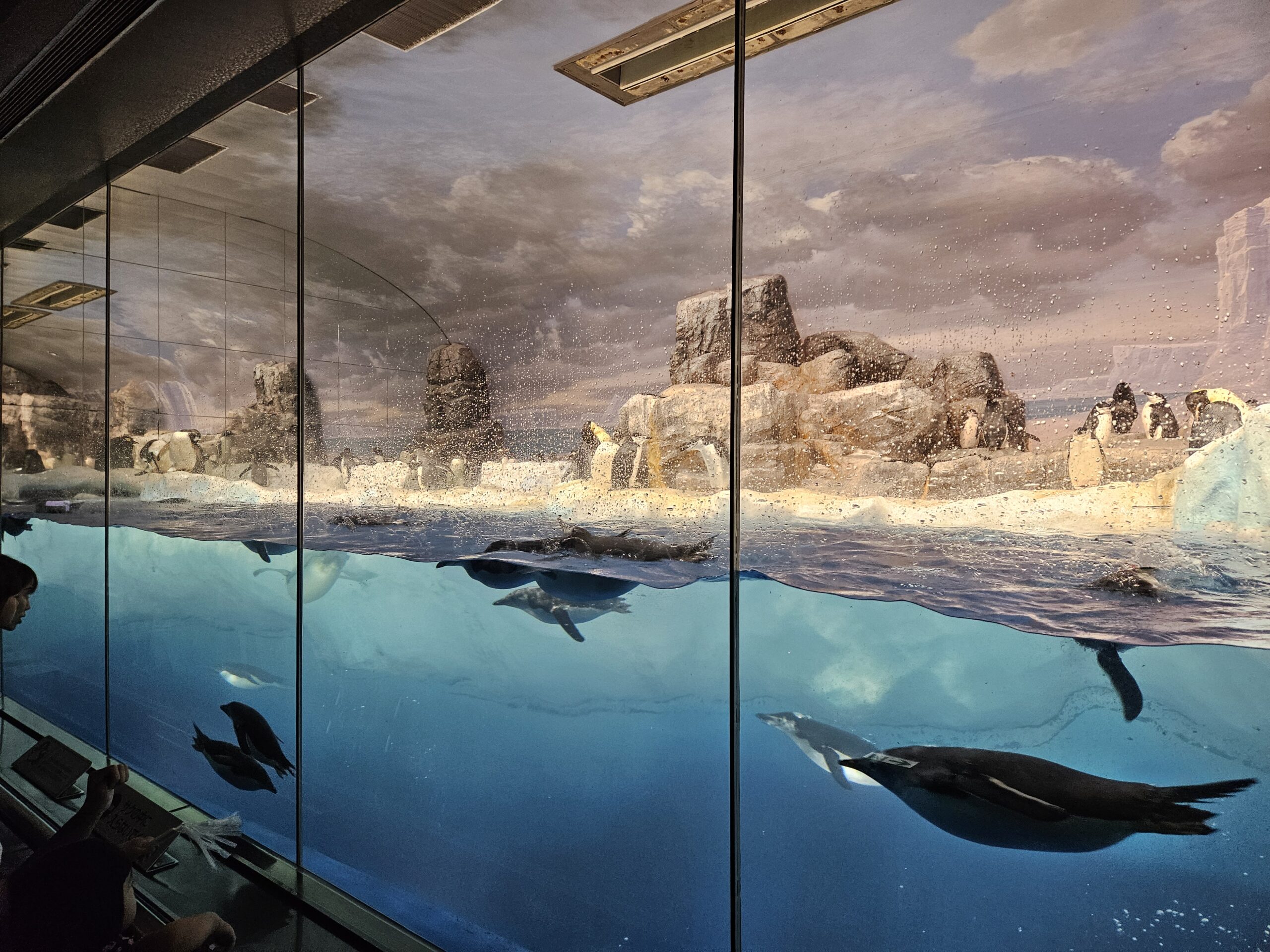 An Aquarium －水族館 － 名古屋港水族館 ブルーレイ -NHK